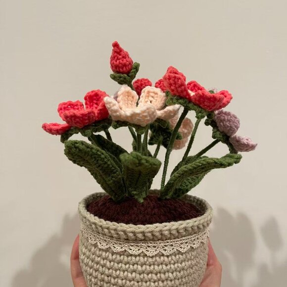 Handmade Crochet Androsace flower Potted Plant - Picture 3 of 5